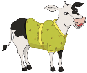 cow2_500px_tr
