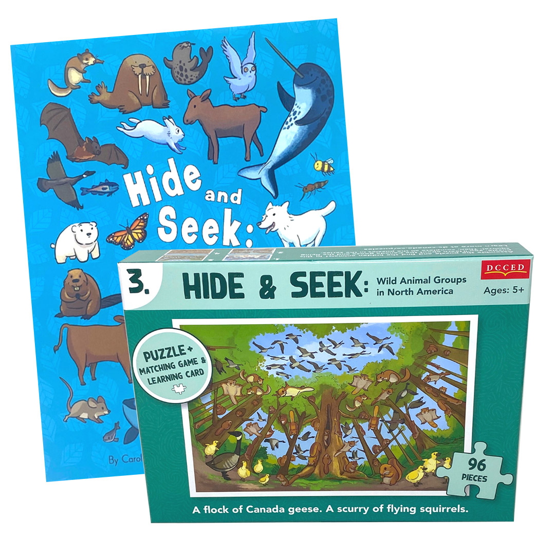 Hide and Seek + Squirrel Puzzle - DC Canada Education Publishing