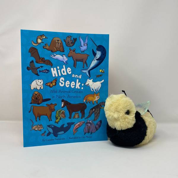 Hide & Seek Book + Bee Plush