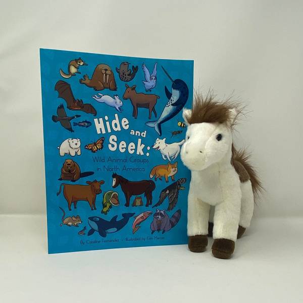 Hide & Seek Book + Pony Plush