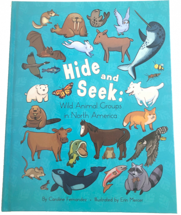 Hide and Seek (Hard Cover)